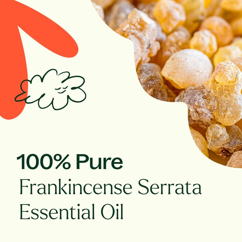 Plant Therapy Frankincense Serrata Essential Oil 100% Pure, Undiluted, Natural Aromatherapy, Therapeutic Grade 30 mL (1 oz) - Image 5